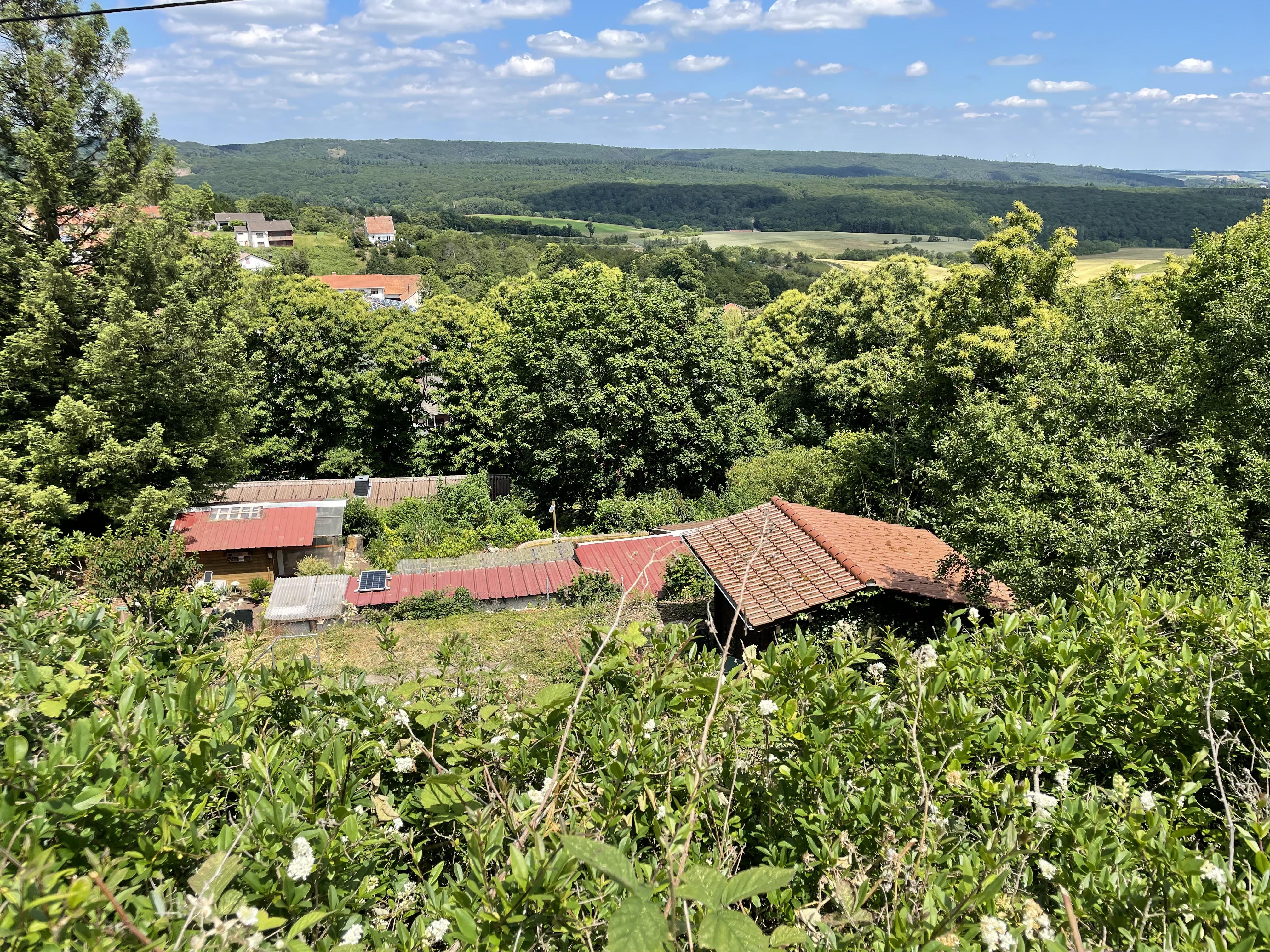 Bauland mit unverbaubarem Blick in 67814 Dannenfels - von privat