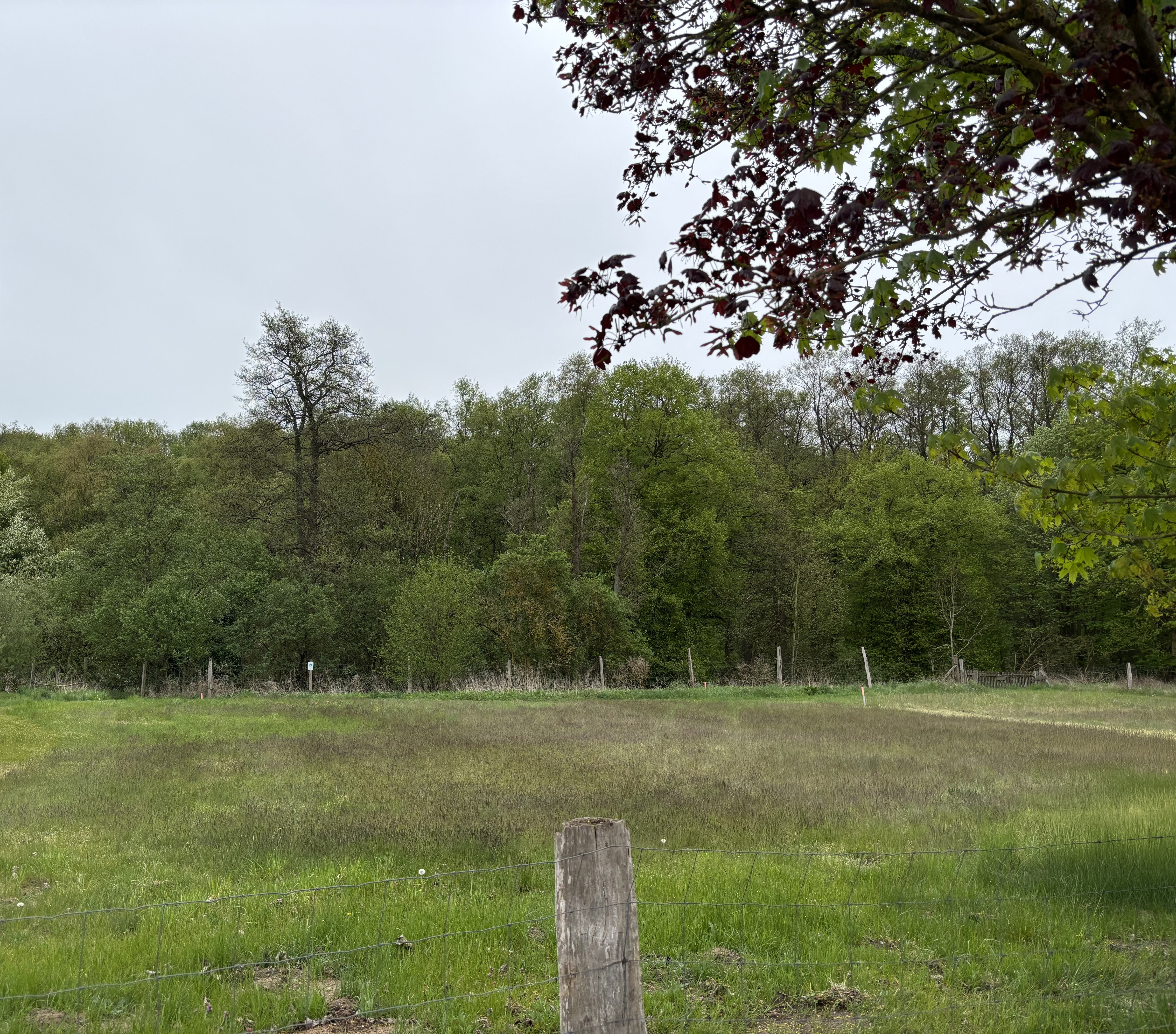 Letztes Bauland in Basthorst