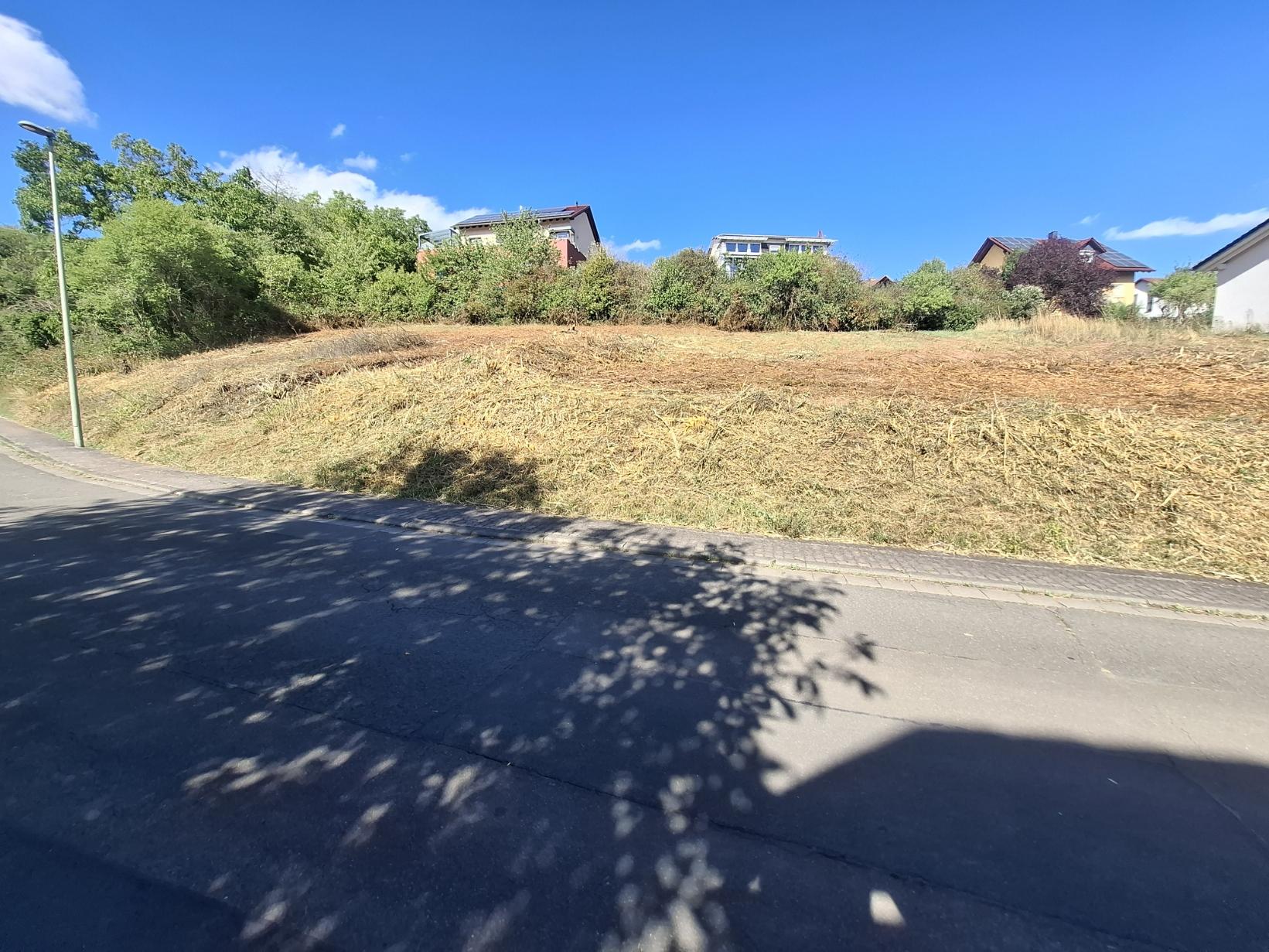2 Baugrundstücke in Südhanglage