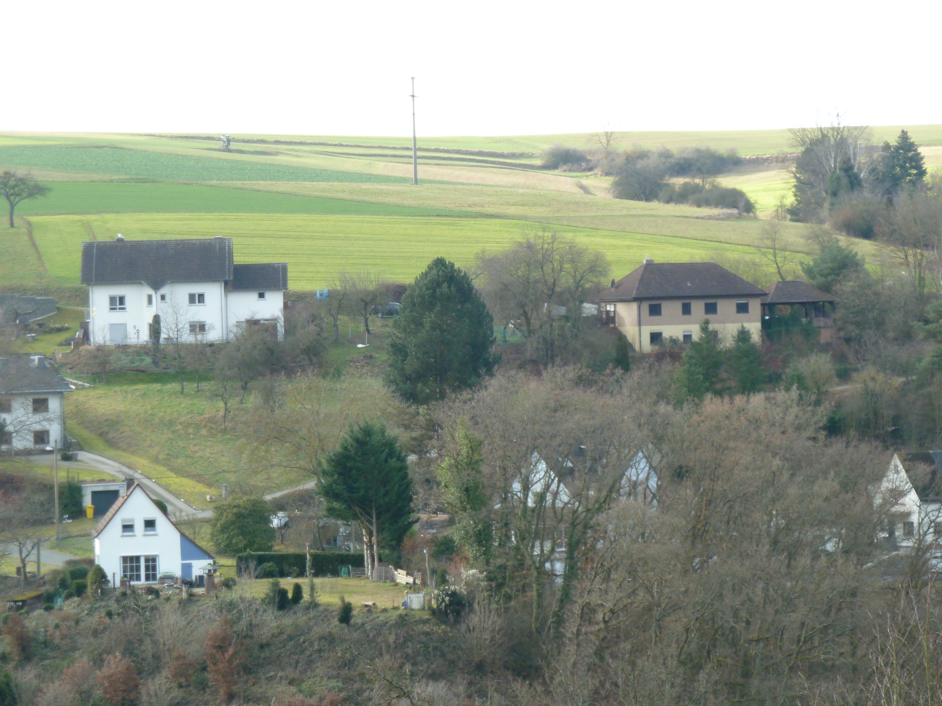 Auf dem Berg 19  - Blick auf Burg Reichenberg