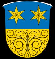 Logo Innenstadtmanagement der Stadt Michelstadt