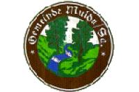 Wappen von Mulda