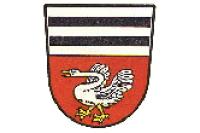 Wappen von Münster/Hessen
