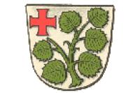 Wappen von Schenklengsfeld