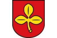 Wappen von Salzkotten
