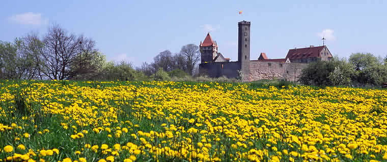 Burgwiese