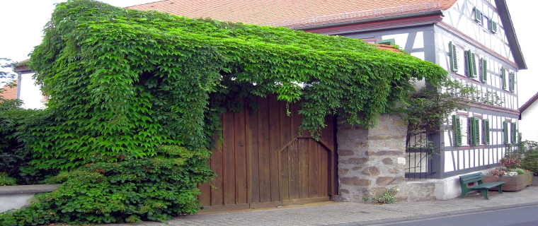 Sitemap des KIP Alsbach-Hähnlein