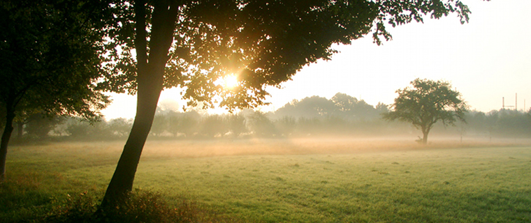 Impressionen aus Babenhausen