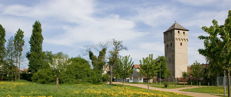 Sitemap des KIP Babenhausen