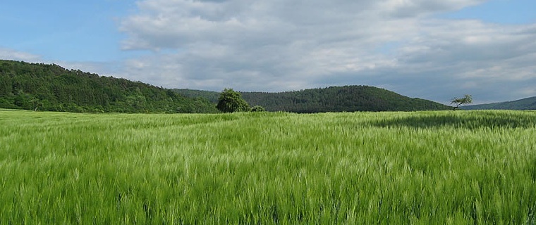 Impressionen aus Biebergemünd