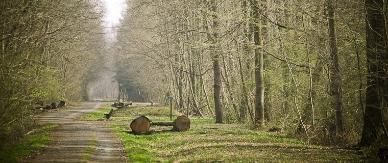 Naherholung