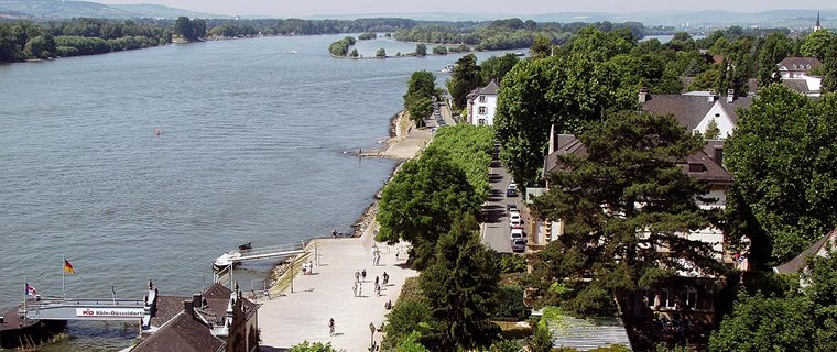 Blick auf Eltville (Foto: Dieter Schenk)