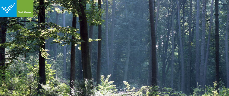 Süchtelner Höhen