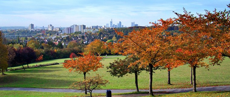 Blick auf Frankfurt vom Lohrberg