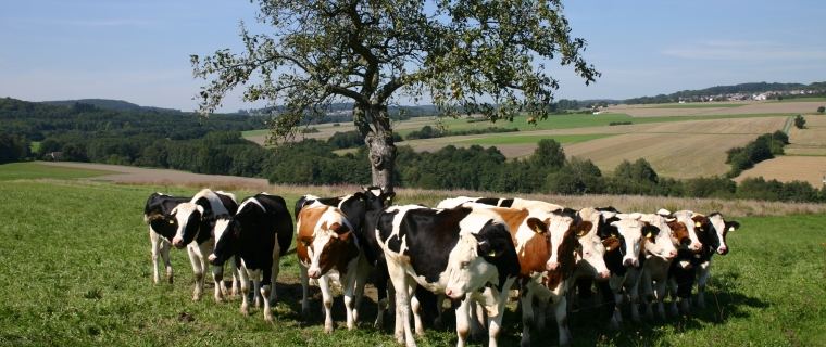 Der Landkreis Limburg-Weilburg - Standortinformationen