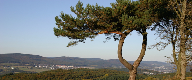 Immobilien Im Lahn Dill Kreis Kommunales Immobilienportal